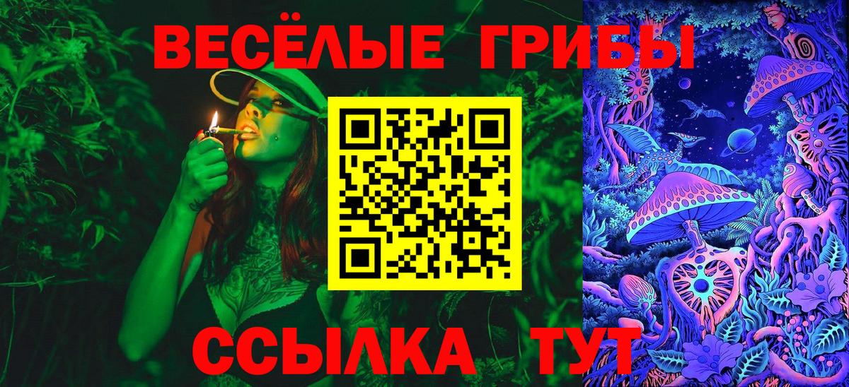 Галлюциногенные грибы MAGIC MUSHROOMS Кирово-Чепецк